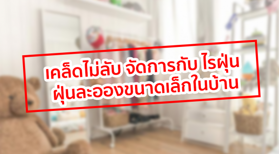 เคล็ดไม่ลับ จัดการกับ ไรฝุ่น ฝุ่นละอองขนาดเล็กในบ้าน!